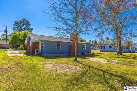 220 Adams Cir, Lamar, SC 29069 photo 38
