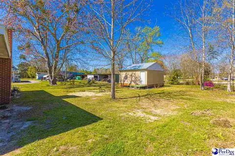 220 Adams Cir, Lamar, SC 29069 photo 40