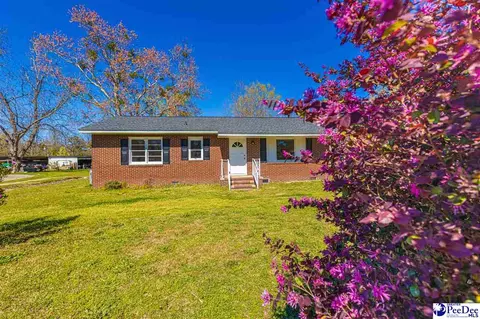 220 Adams Cir, Lamar, SC 29069 photo 2