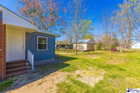 220 Adams Cir, Lamar, SC 29069 photo 37
