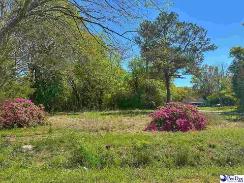 411 S 4th Ave, Dillon, SC 29536 photo 1