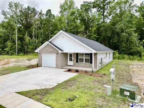 3280 Spiral Ln, Effingham, SC 29541 photo 1