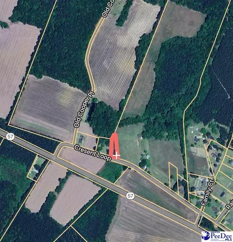 3330 Crescent Loop, Dillon, SC 29536 photo 1