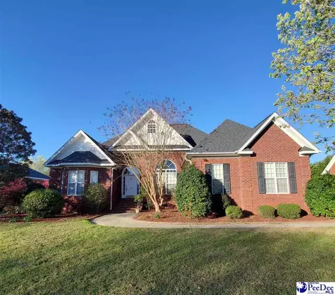 413 Danielle Run, Effingham, SC 29541 photo 1