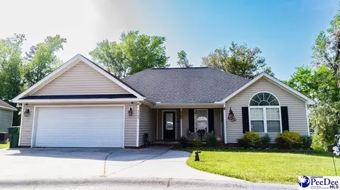 2105 Pathway Ct, Effingham, SC 29541 photo 1