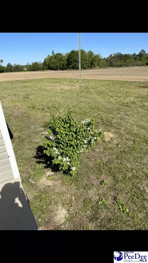 2021 Moore Rd, Fork, SC 29543 photo 30