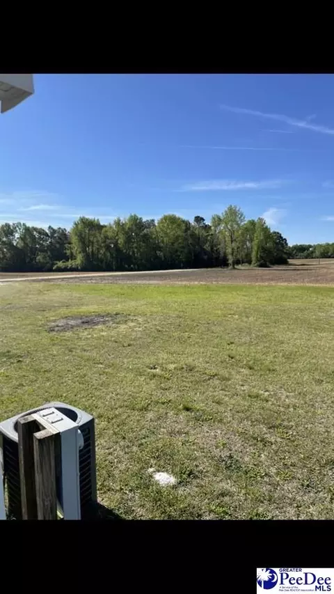 2021 Moore Rd, Fork, SC 29543 photo 29