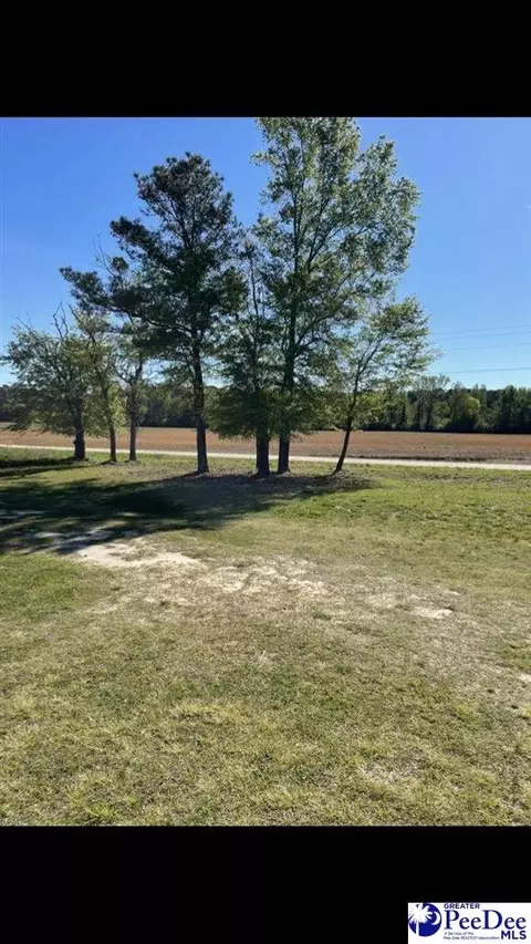 2021 Moore Rd, Fork, SC 29543 photo 15