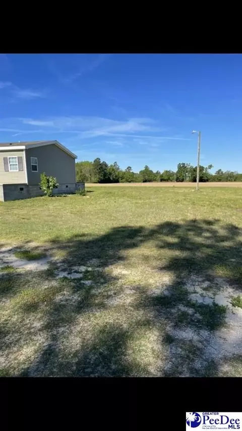 2021 Moore Rd, Fork, SC 29543 photo 31