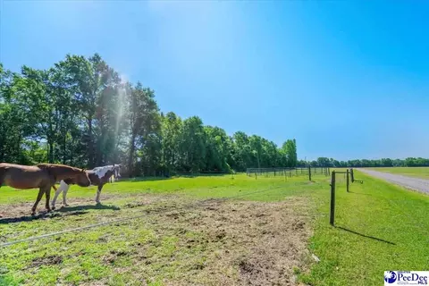 1004 Four Mile Loop, Cheraw, SC 29520 photo 62