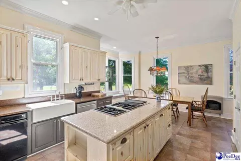 1004 Four Mile Loop, Cheraw, SC 29520 photo 17