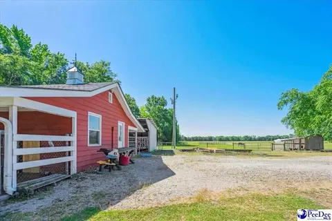 1004 Four Mile Loop, Cheraw, SC 29520 photo 63