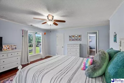 1004 Four Mile Loop, Cheraw, SC 29520 photo 46
