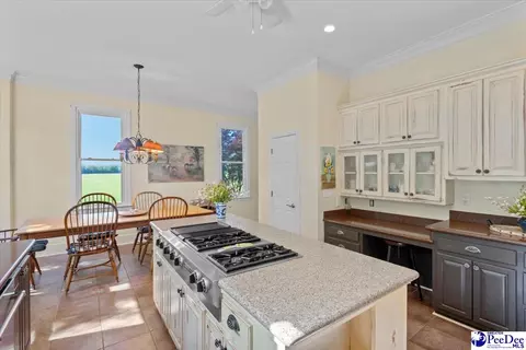 1004 Four Mile Loop, Cheraw, SC 29520 photo 18