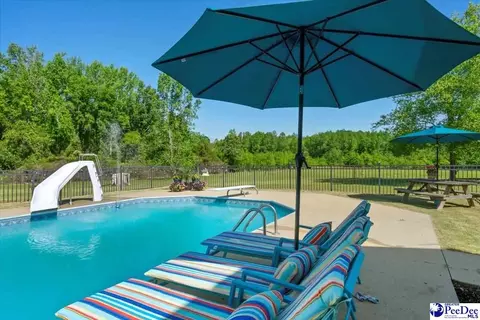 1004 Four Mile Loop, Cheraw, SC 29520 photo 59