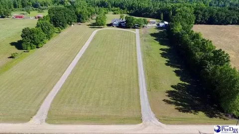 1004 Four Mile Loop, Cheraw, SC 29520 photo 68