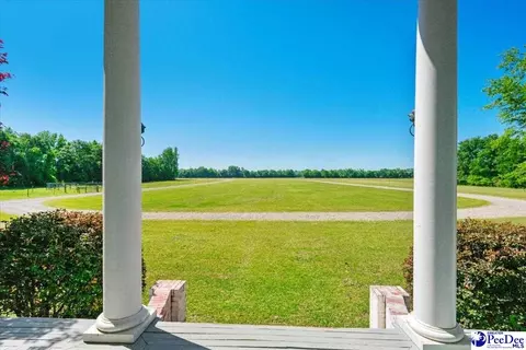 1004 Four Mile Loop, Cheraw, SC 29520 photo 4