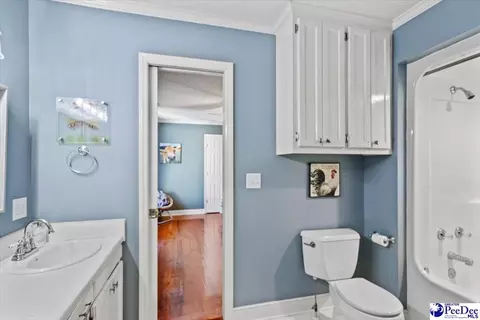 1004 Four Mile Loop, Cheraw, SC 29520 photo 44