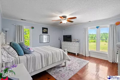 1004 Four Mile Loop, Cheraw, SC 29520 photo 45