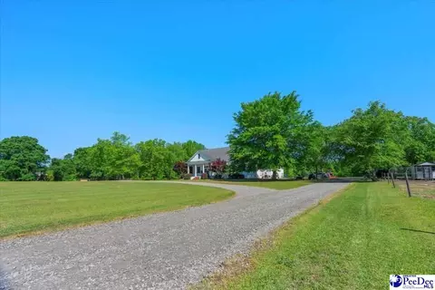 1004 Four Mile Loop, Cheraw, SC 29520 photo 61