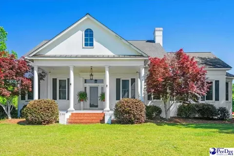 1004 Four Mile Loop, Cheraw, SC 29520 photo 2