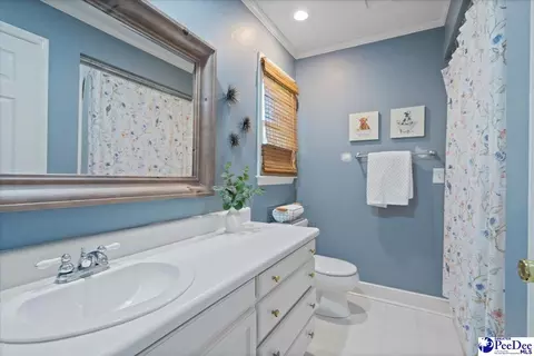 1004 Four Mile Loop, Cheraw, SC 29520 photo 47