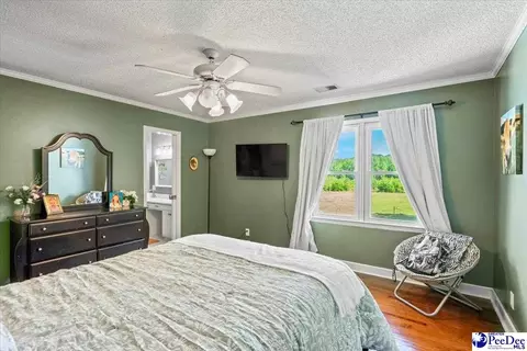 1004 Four Mile Loop, Cheraw, SC 29520 photo 41