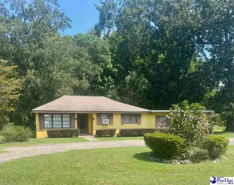 1767 Tomahawk Rd, Lamar, SC 29069 photo 1