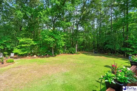 307 Ginger Ridge Rd, Cheraw, SC 29520 photo 44