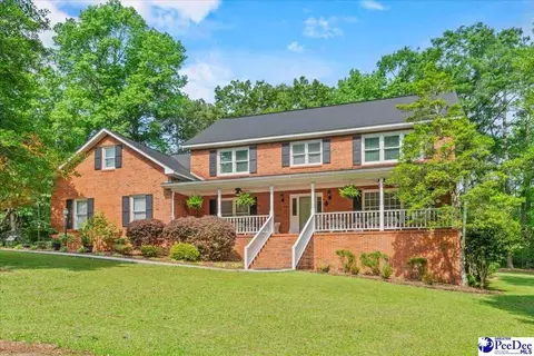 307 Ginger Ridge Rd, Cheraw, SC 29520 photo 1