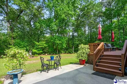 307 Ginger Ridge Rd, Cheraw, SC 29520 photo 41