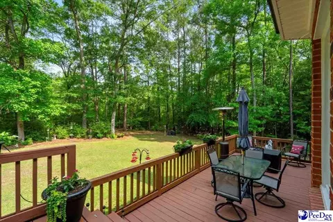 307 Ginger Ridge Rd, Cheraw, SC 29520 photo 38