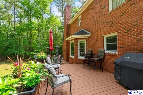 307 Ginger Ridge Rd, Cheraw, SC 29520 photo 39