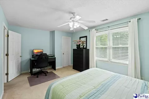 307 Ginger Ridge Rd, Cheraw, SC 29520 photo 32