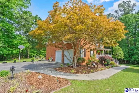 307 Ginger Ridge Rd, Cheraw, SC 29520 photo 42