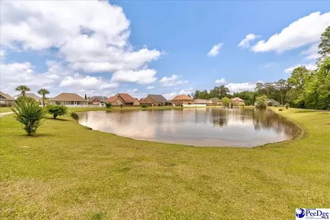 View/Area - 1485 Summergate, Florence, SC 29501 photo 3 of 3