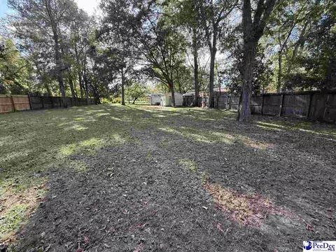 223 Third St, Cheraw, SC 29520 photo 20