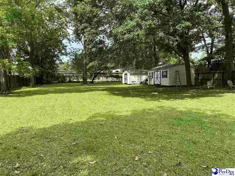 223 Third St, Cheraw, SC 29520 photo 19
