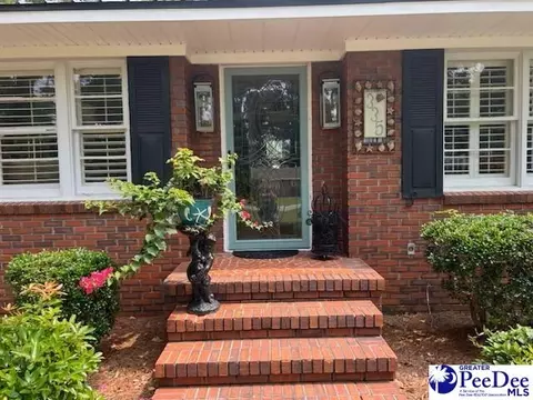335 Johnson Dr, Dillon, SC 29536 photo 2