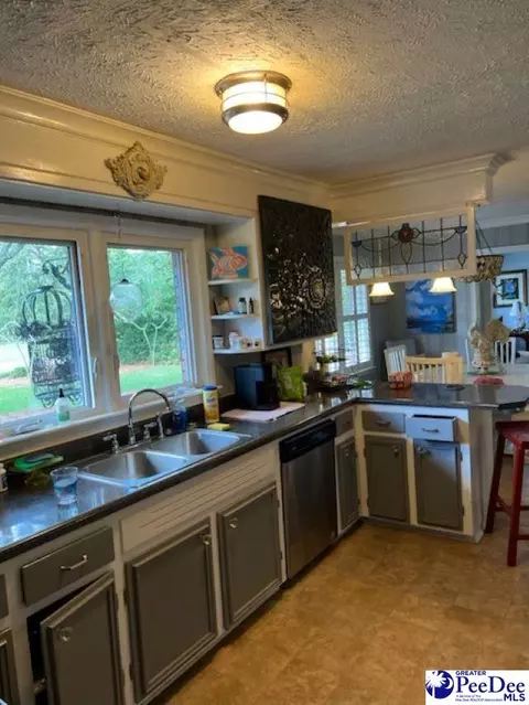335 Johnson Dr, Dillon, SC 29536 photo 4