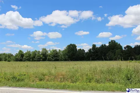 lot12 Luther Rogers Rd, Marion, SC 29571