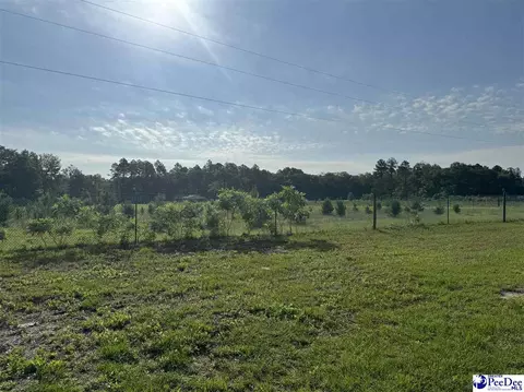 2866 Best Rd, Bethune, SC 29009 photo 2