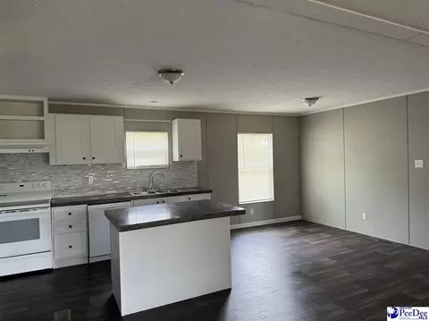 2866 Best Rd, Bethune, SC 29009 photo 6