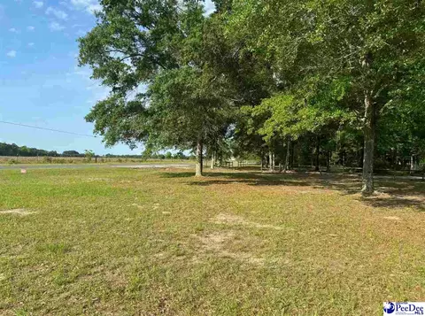 2866 Best Rd, Bethune, SC 29009 photo 19