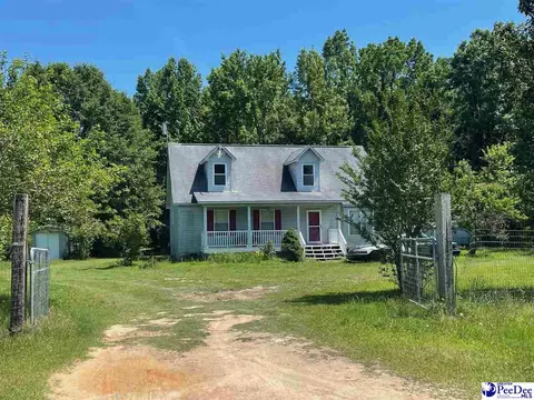 378 Brangus, Cheraw, SC 29520 photo 1