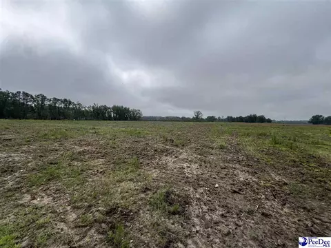 Tbd Harry Byrd Hwy, Darlington, SC 29532