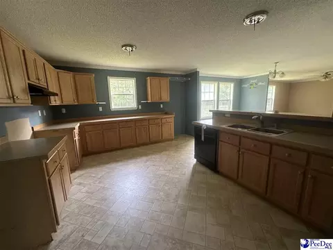 563 Jc Barefoot Rd, Patrick, SC 29584 photo 4