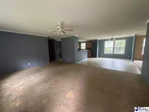 563 Jc Barefoot Rd, Patrick, SC 29584 photo 2