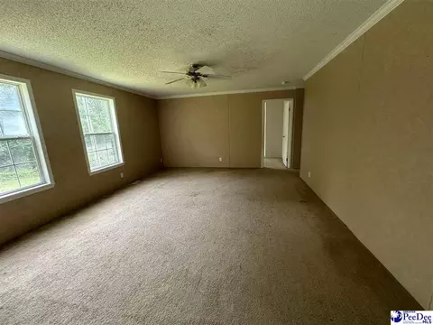 563 Jc Barefoot Rd, Patrick, SC 29584 photo 11