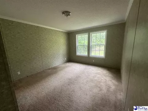 563 Jc Barefoot Rd, Patrick, SC 29584 photo 8